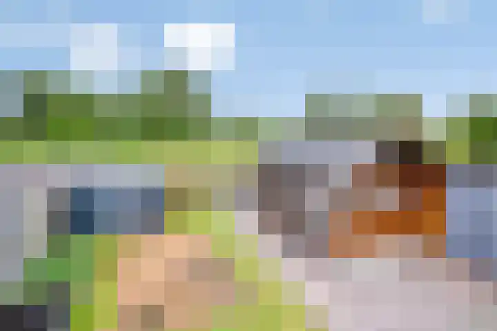 De Stoeke 19 Wolvega thumbnail 28