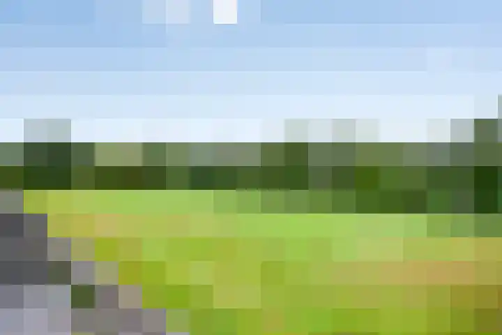De Stoeke 19 Wolvega thumbnail 30