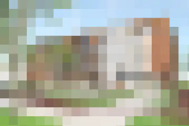 De Strandwal Uitgeest thumbnail 5