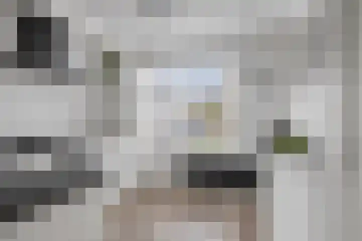 De Strang 28 Amersfoort thumbnail 16