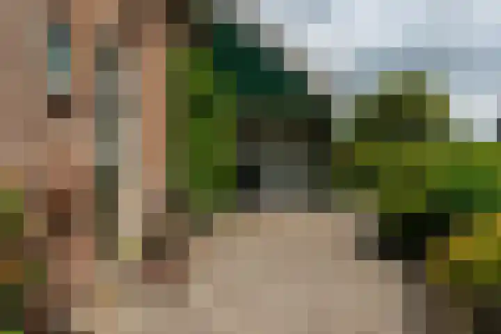 De Streek 21 Terwispel thumbnail 10