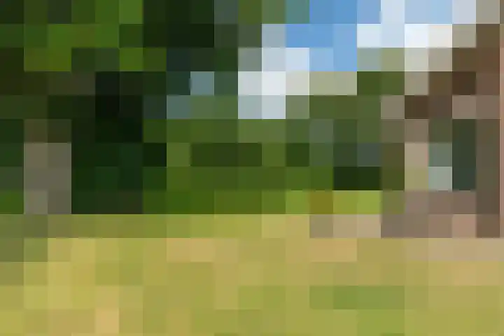 De Streek 21 Terwispel thumbnail 11