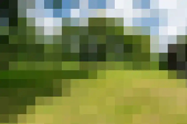 De Streek 21 Terwispel thumbnail 12