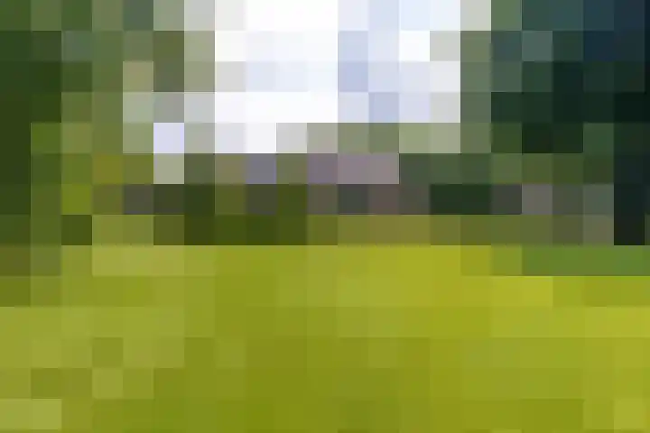 De Streek 21 Terwispel thumbnail 13