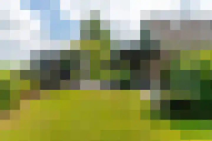 De Streek 21 Terwispel thumbnail 14