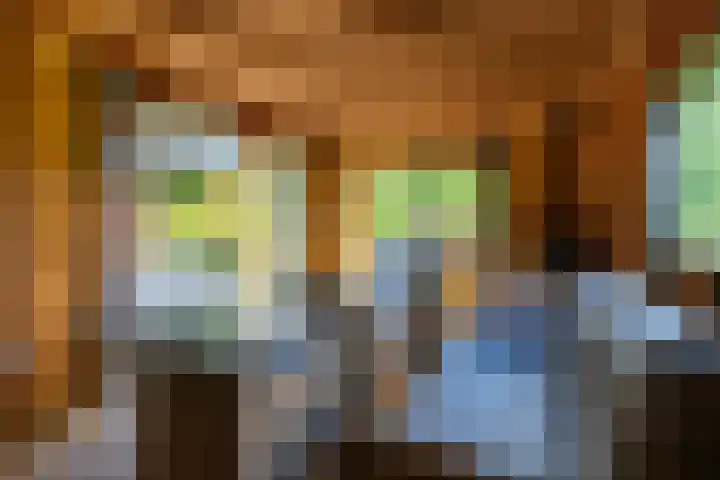 De Streek 21 Terwispel thumbnail 16