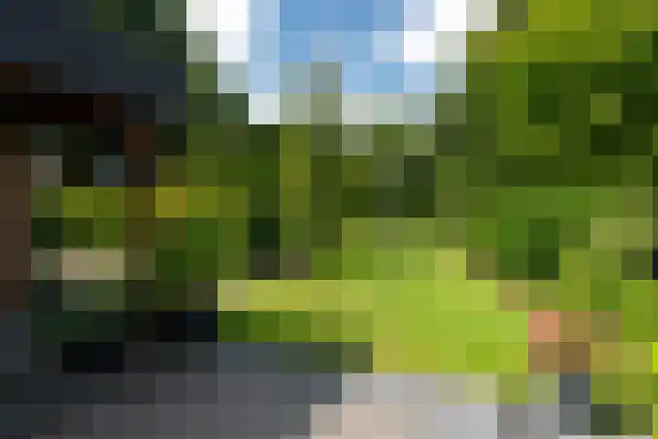 De Streek 21 Terwispel thumbnail 17