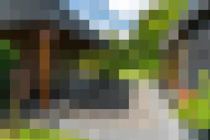 De Streek 21 Terwispel thumbnail 18