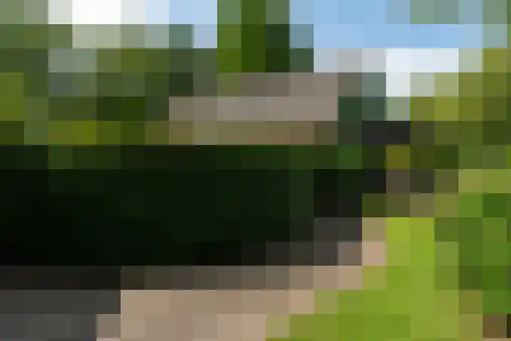 De Streek 21 Terwispel thumbnail 19