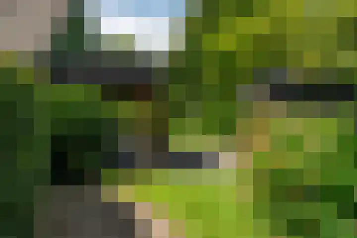 De Streek 21 Terwispel thumbnail 20