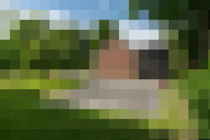 De Streek 21 Terwispel thumbnail 21