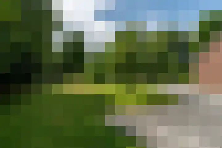 De Streek 21 Terwispel thumbnail 22