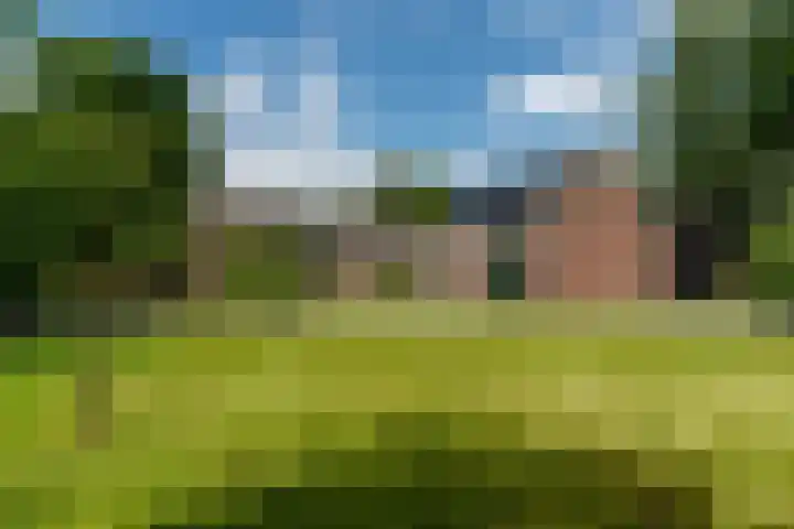 De Streek 21 Terwispel thumbnail 23
