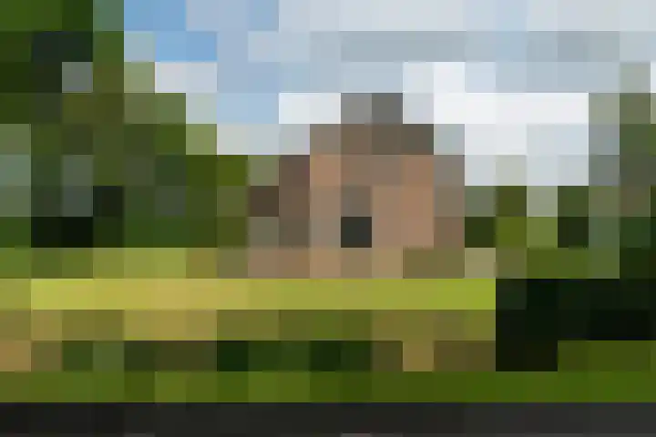 De Streek 21 Terwispel thumbnail 24