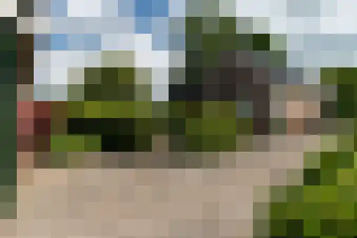 De Streek 21 Terwispel thumbnail 25