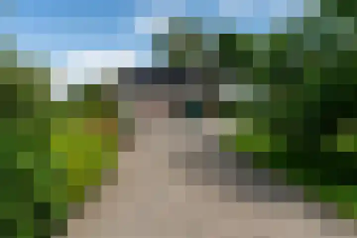 De Streek 21 Terwispel foto 3