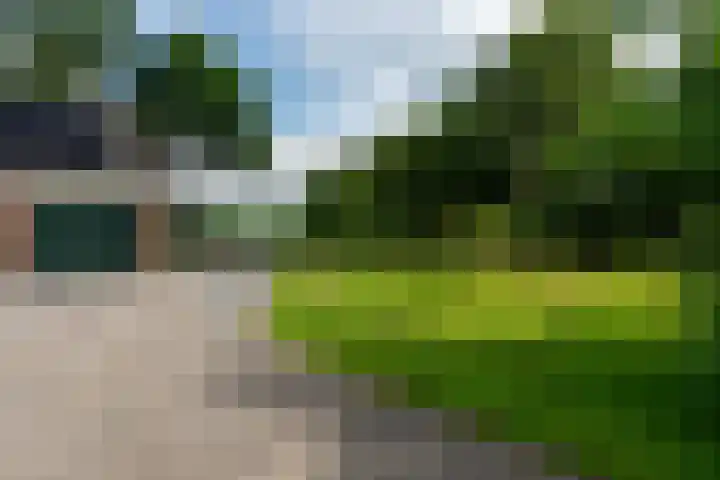 De Streek 21 Terwispel thumbnail 4