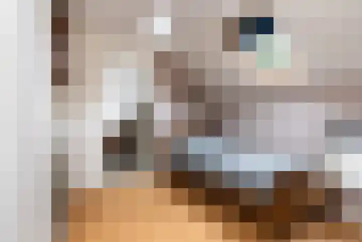 De Streek 21 Terwispel thumbnail 49