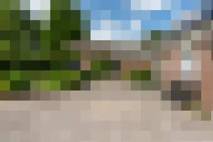 De Streek 21 Terwispel thumbnail 5