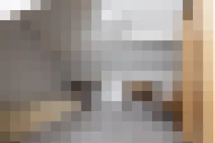 De Streek 21 Terwispel thumbnail 51