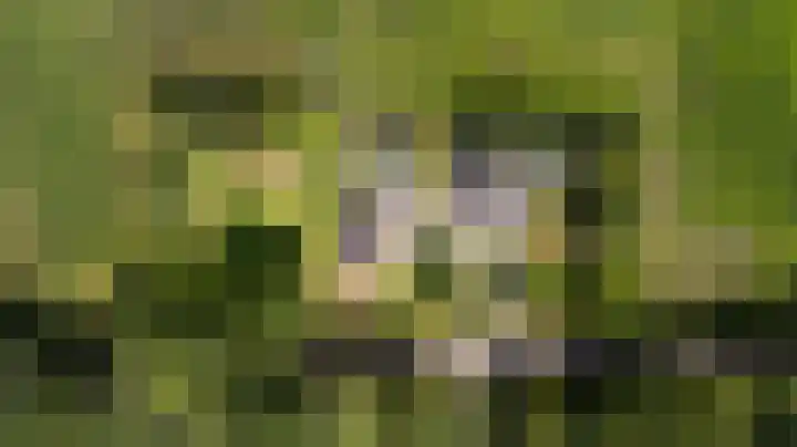 De Streek 21 Terwispel thumbnail 54