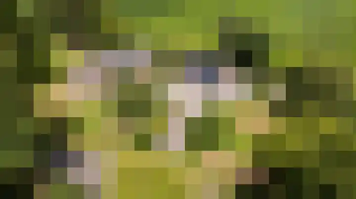 De Streek 21 Terwispel thumbnail 55