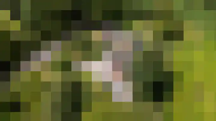 De Streek 21 Terwispel thumbnail 56