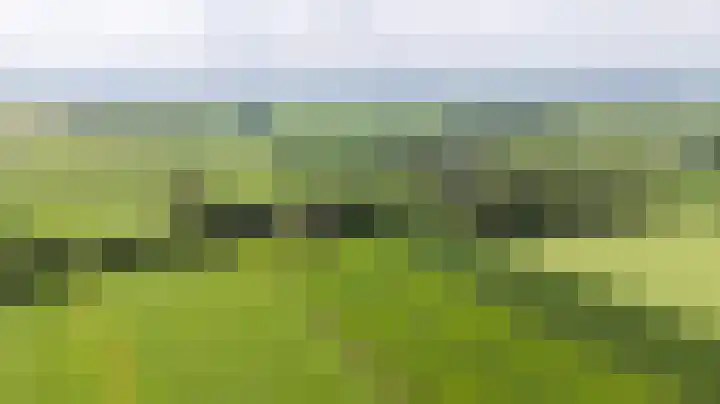 De Streek 21 Terwispel thumbnail 57