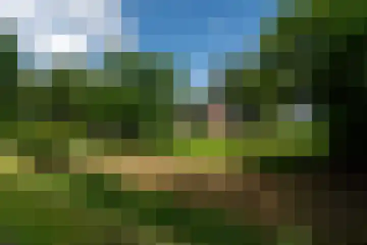 De Streek 21 Terwispel thumbnail 6