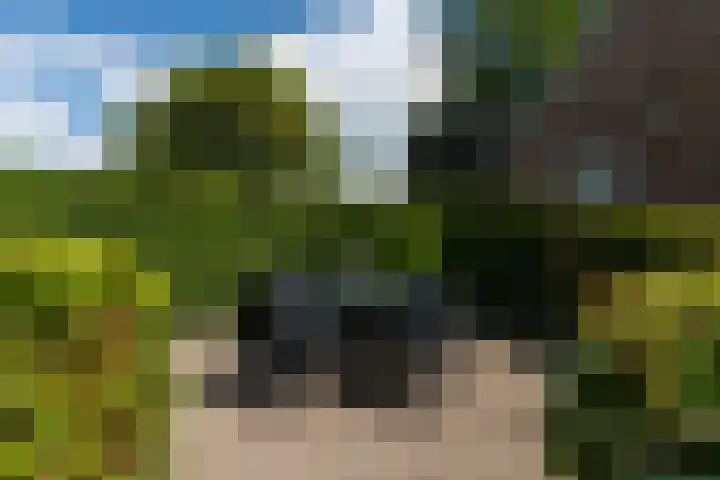 De Streek 21 Terwispel thumbnail 7