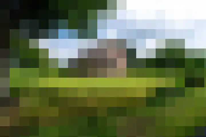De Streek 21 Terwispel thumbnail 71