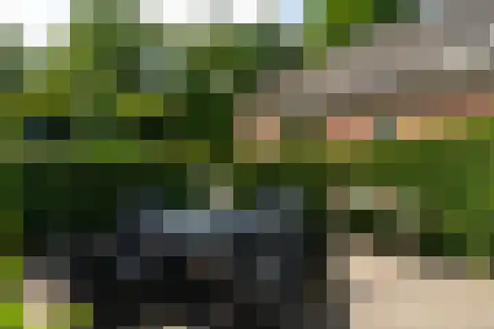 De Streek 21 Terwispel thumbnail 8