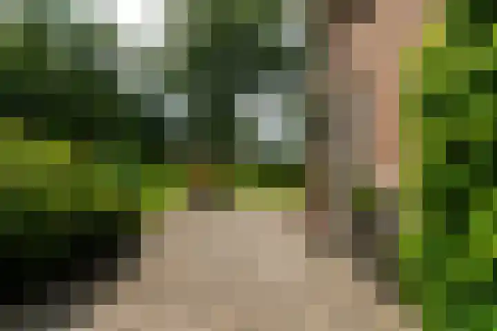 De Streek 21 Terwispel thumbnail 9