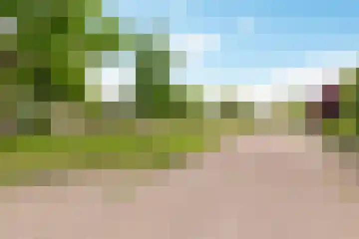 De Streek 59 Lelystad thumbnail 80