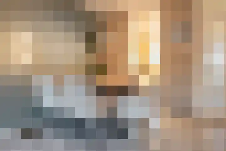 De Streep 54 Assendelft thumbnail 12
