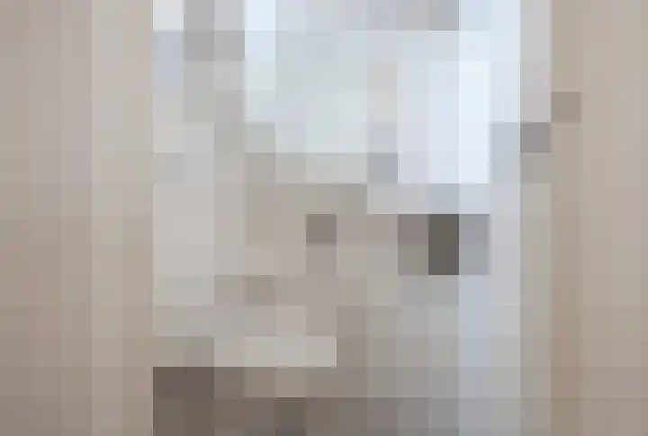 De Streep 54 Assendelft thumbnail 15