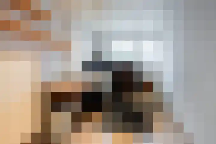 De Streep 54 Assendelft thumbnail 22