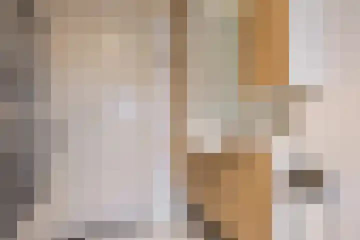 De Streep 54 Assendelft thumbnail 25