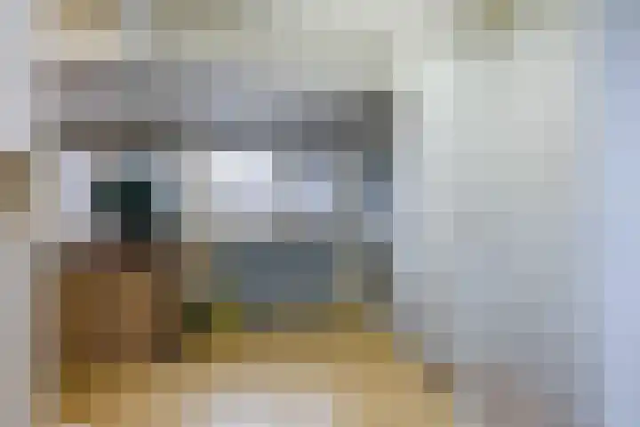 De Streep 54 Assendelft thumbnail 29