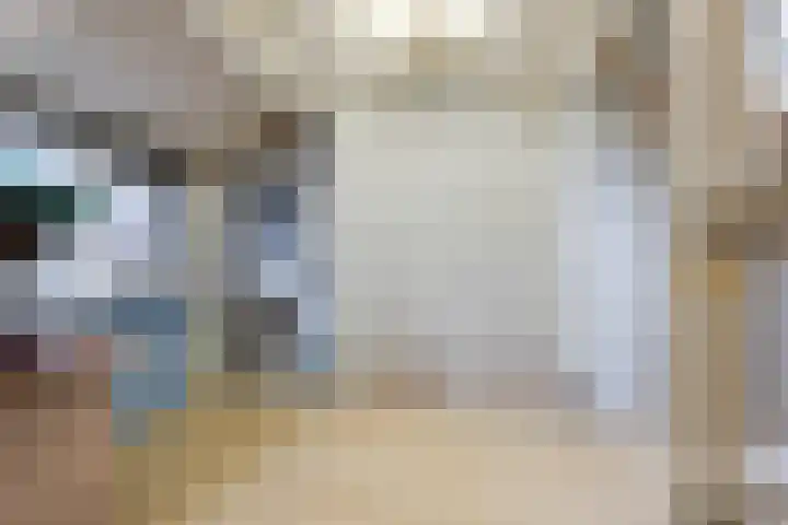 De Streep 54 Assendelft thumbnail 31