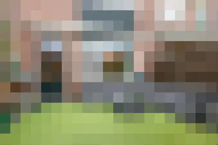 De Streep 54 Assendelft thumbnail 34