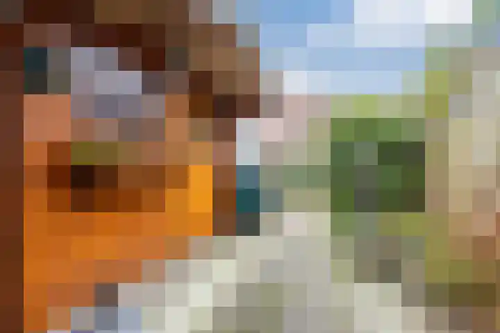De Streep 54 Assendelft thumbnail 37