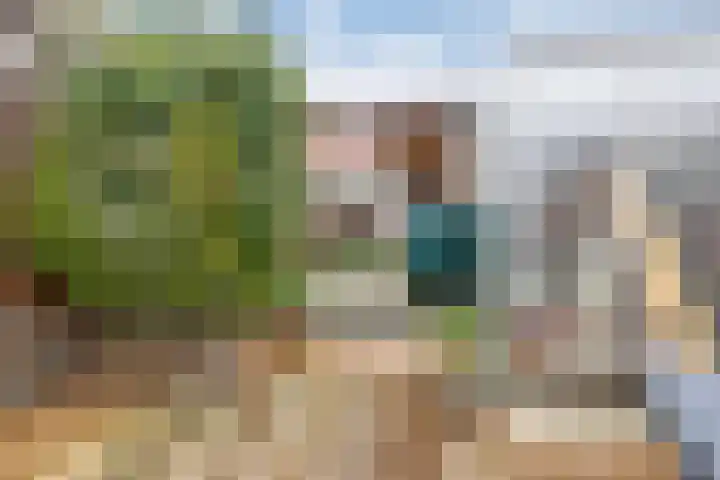 De Streep 54 Assendelft thumbnail 39