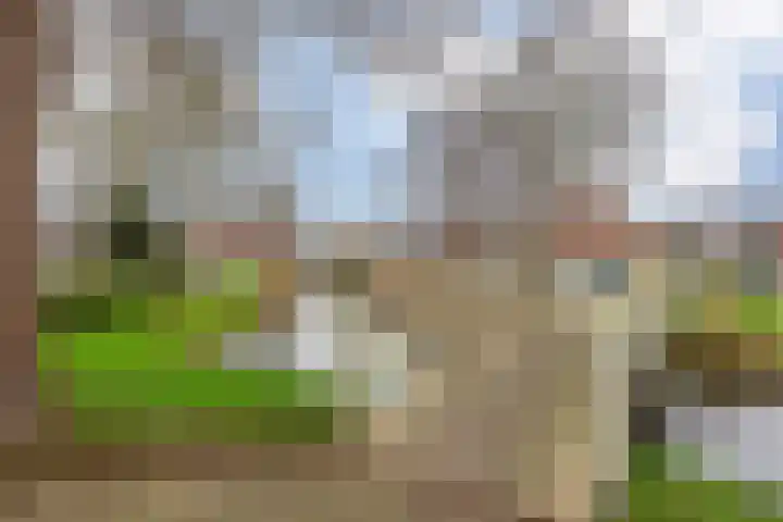 De Streep 54 Assendelft thumbnail 4