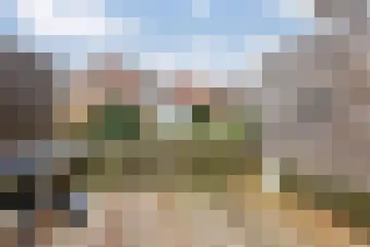 De Streep 54 Assendelft thumbnail 42