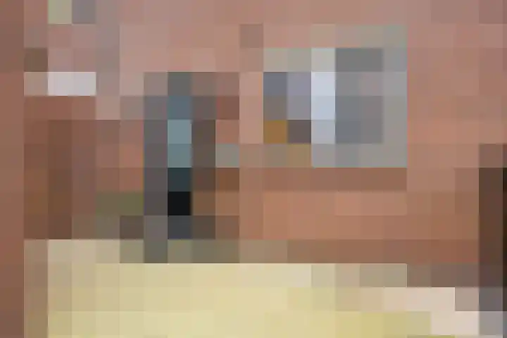 De Streep 54 Assendelft thumbnail 5