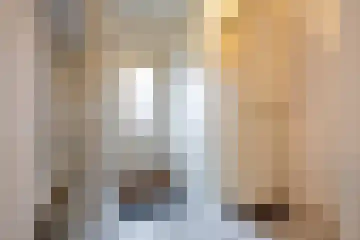 De Streep 54 Assendelft thumbnail 6