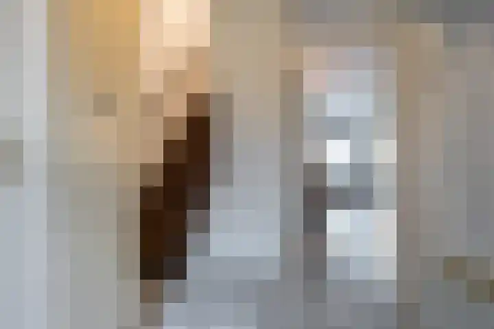 De Streep 54 Assendelft thumbnail 7