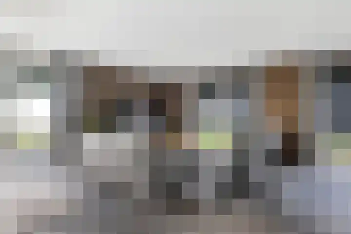 De Streng 5 A Ternaard thumbnail 13