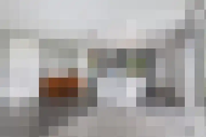 De Streng 5 A Ternaard thumbnail 18